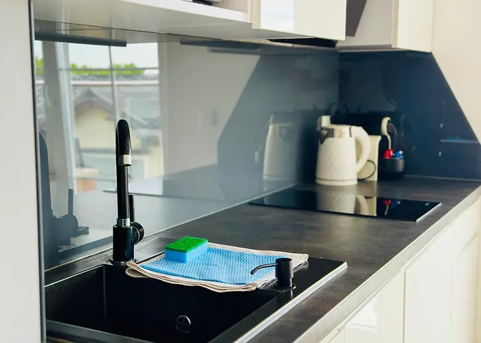 Apartament Haller House *